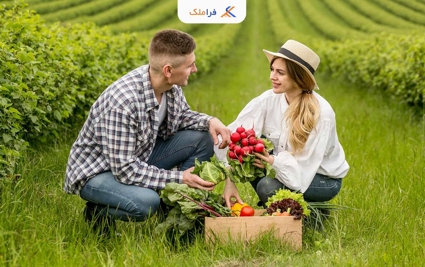 کاربری املاک - فراملک