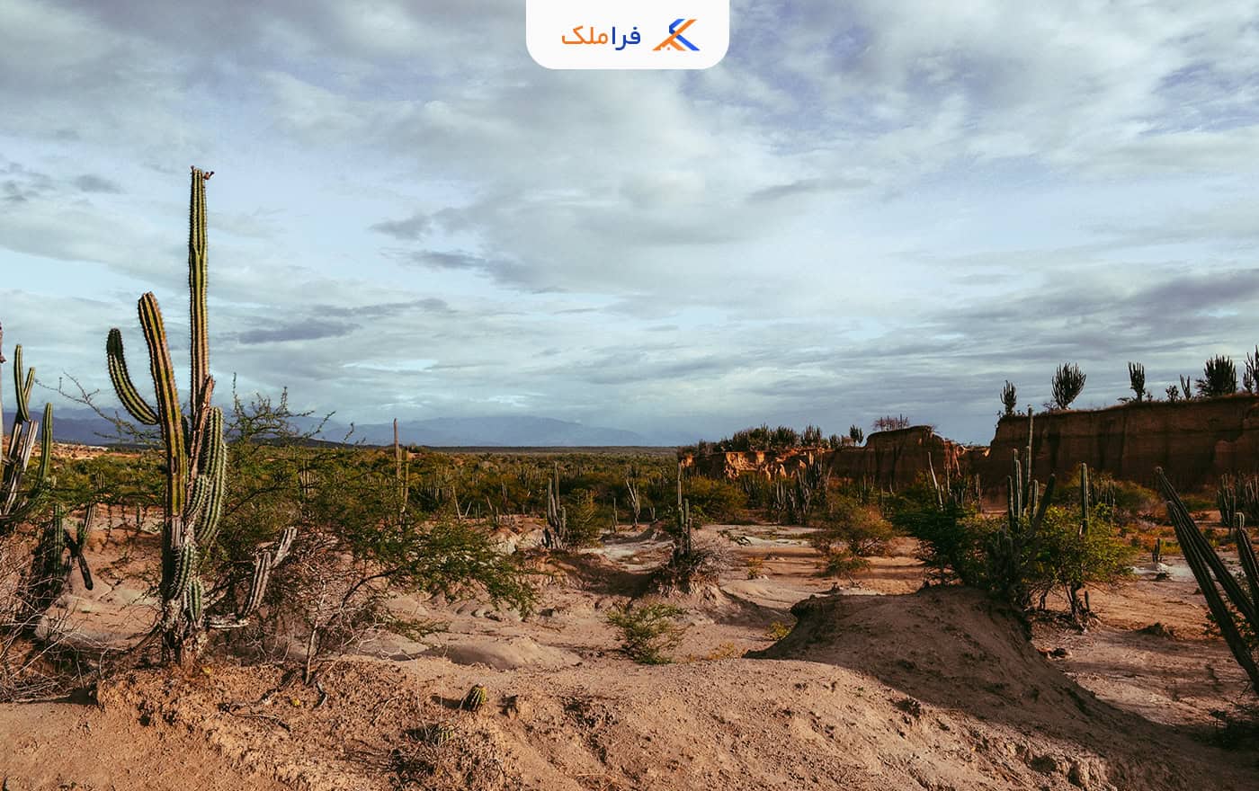 املاک و مستغلات چیست؟ اراضی بایر - فراملک